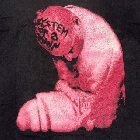 SYSTEM OF A DOWN 1998 Daron Malakian TULTEX LARGE 1841