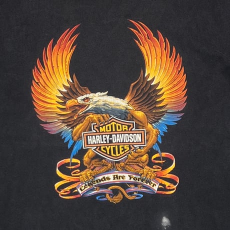HARLEY DAVIDSON ZANOTTI BUTLER,PA LARGE 2735