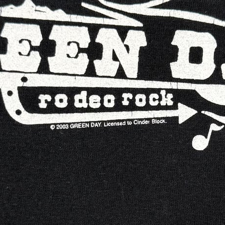 GREEN DAY 2003 RODEO ROCK CINDER BLOCK FITS LARGE 0619