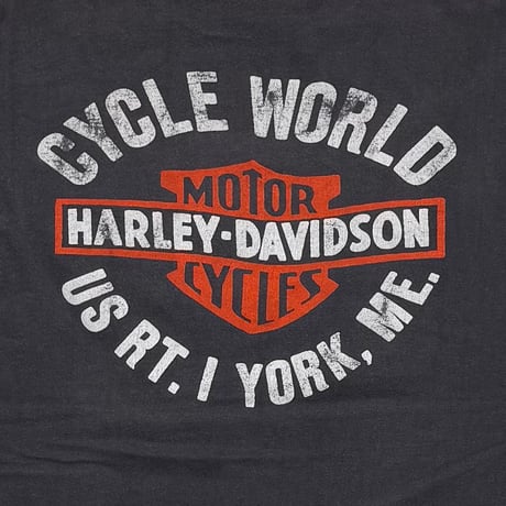 HARLEY DAVIDSON LIVE TO RIDE MOTORCYCLES RIDE TO LIVE USA HANES LARGE 5462
