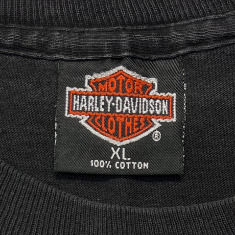 HARLEY DAVIDSON CHROME SWEET CHROME LS XL 5519