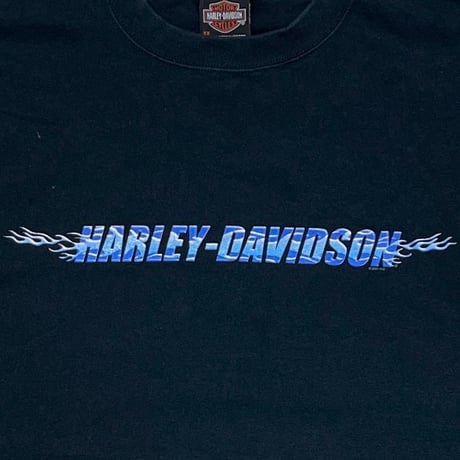 HARLEY DAVIDSON	2001 ARM BLUE FLAMING REGENCY JACKSONVILLE LS XXL 8728