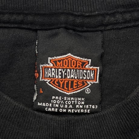 HARLEY DAVIDSON 2001 LIGHTNING HUGE EMBLEM C&S of Nashville LARGE 6779