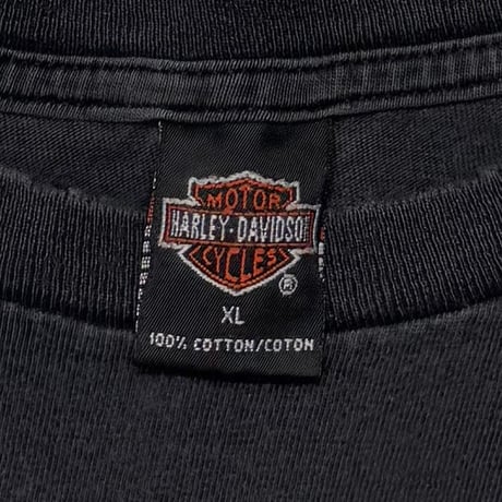 HARLEY DAVIDSON EAGLE FLAMING LS BENSON MOTOR CYCLE 2000 XL 1002