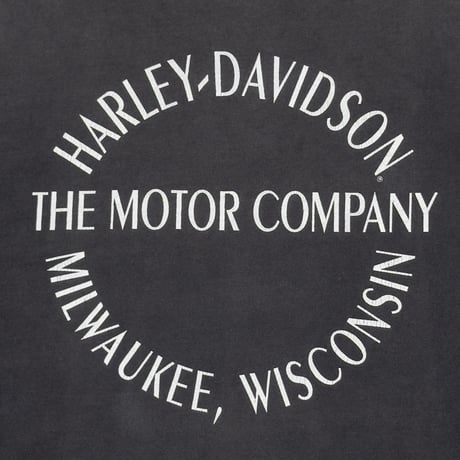 HARLEY DAVIDSON FLAME EAGLE XL 0783