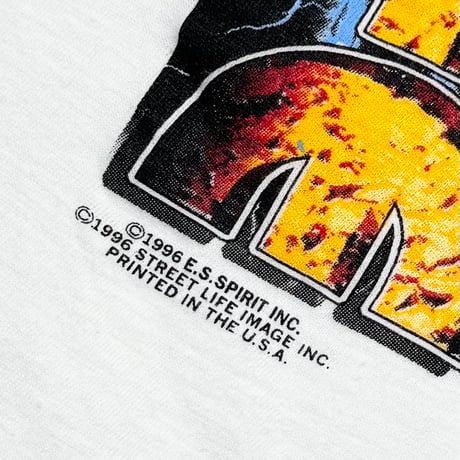 ANIMAL WILD LIFE TIGER RAP GRAPHIC 1996 WHITE BAY CLUB LARGE 6623