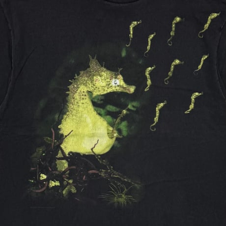 NIRVANA SEAHORSE GIANT BY TULTEX XL 2505