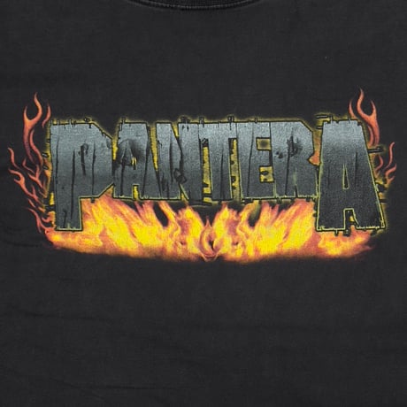 PANTERA REINVENTING FLAMING NAKED GIRL 2001 ALL SPORT XL 9999