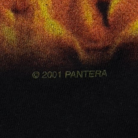 PANTERA REINVENTING FLAMING NAKED GIRL 2001 BG XL 3599