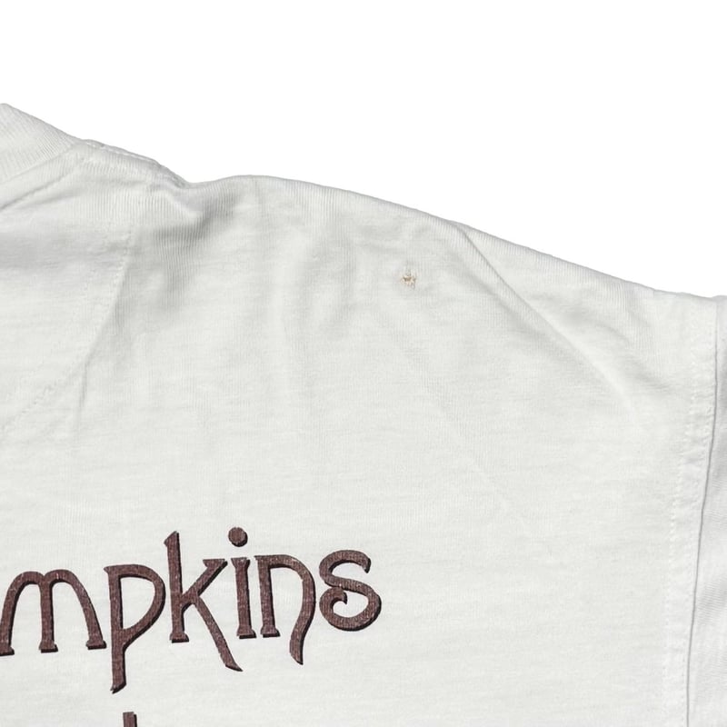 クランデニー カンバス カンヴァス 1965 45年 THE SMASHING PUMPKINS ROCK INVASION 93/94 XL 05