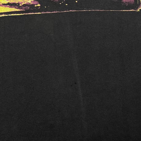 NIRVANA FROM THE MUDDY BANKS OF THE WISHKAH EURO FITS LARGE 3773