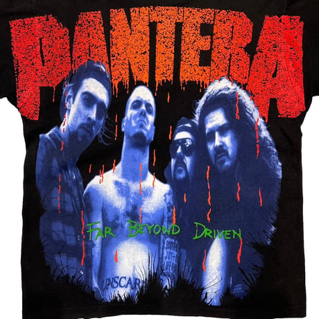 PANTERA FAR BEYOND DRIVEN FITS LARGE 2473