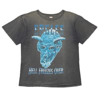 EAGLES HELL FREEZES OVER LARGE 8963