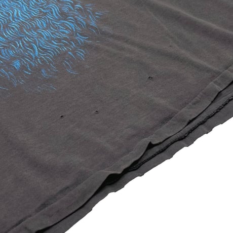 SESAME STREET COOKIE MONSTER BLACK OUT CHANGES FITS XL 2538