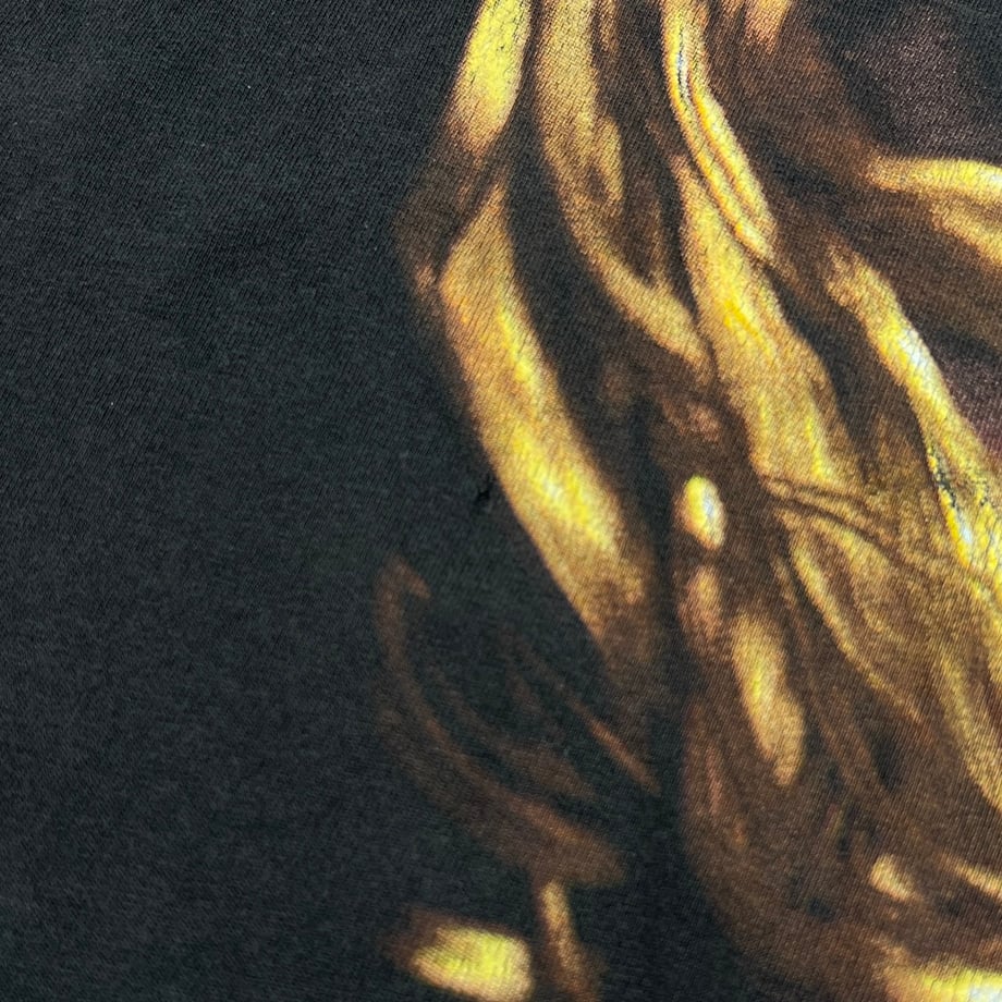 666533726dd9a909c036efaa