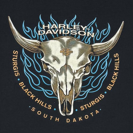 HARLEY DAVIDSON 1996 STURGIS BLUE FLAME SOUTH DAKOTA LS LARGE 3021