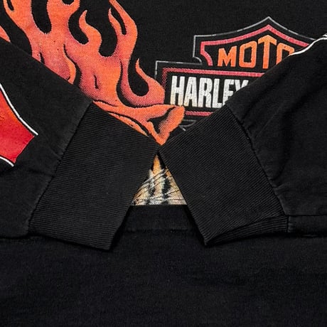 HARLEY DAVIDSON UNTAMED TIGER FLAME BACK EMBLEM LS XL 6132