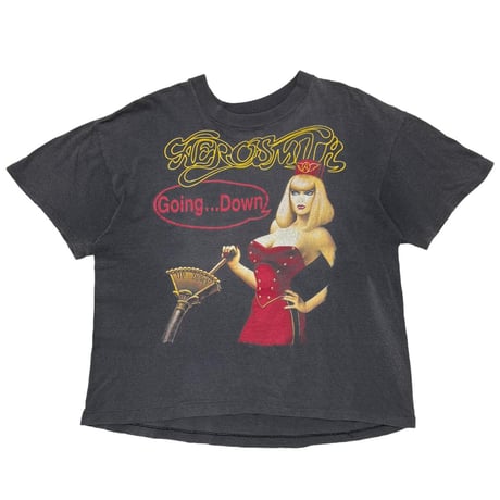 AEROSMITH PUMP ELEVATOR GIRL BROCKUM LARGE 4495