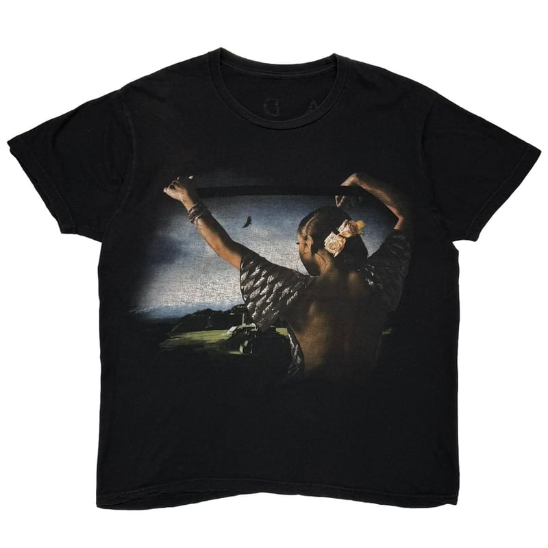 SADE SOLDIER OF LOVE 2011 FITS LARGE 8433 | gre