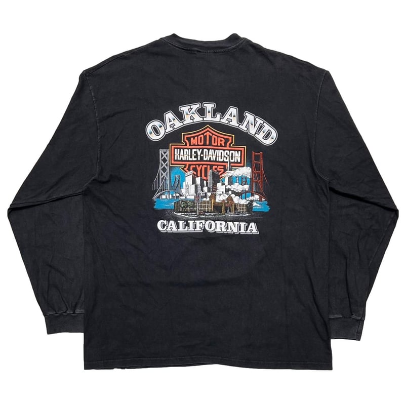 HARLEY DAVIDSON FRONT V FLAME CALIFORNIA LS XL