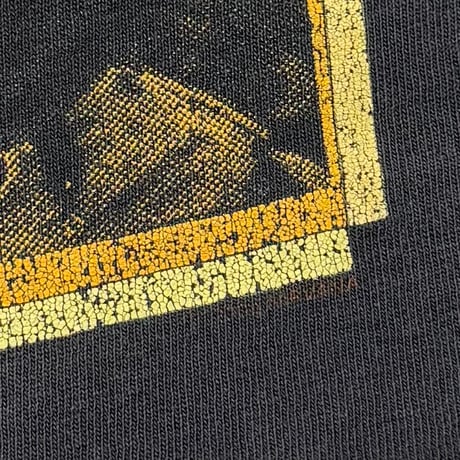 NIRVANA 2004 MEMBER ORANGE PORTRAIT BLUE TEXT FITS XL 7789
