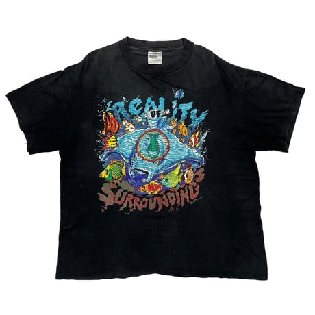 FISHBONE REALITY OF SURROUNDINGS 1991 BROCKUM XL 6369