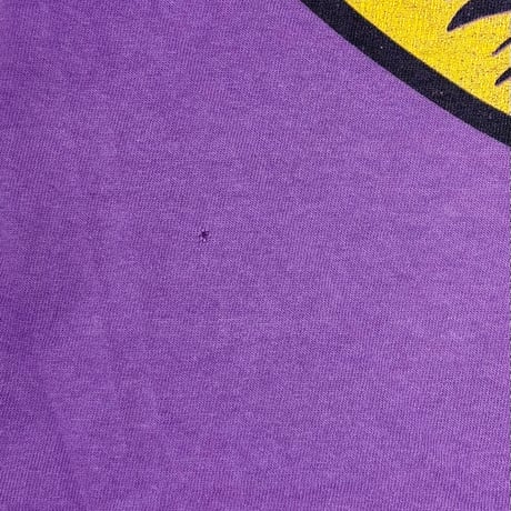 LOONEY TUNES ROAD RUNNER DOUBLE SIDE PURPLE DELTA XL 4423