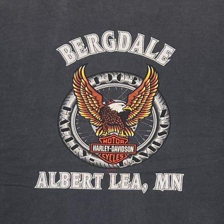 HARLEY DAVIDSON BRUTE FORCE ENGINE BERGDALE ALBERT LEA, MN XL 1884