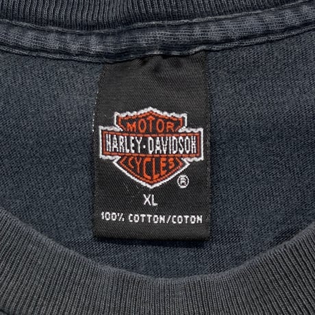 HARLEY DAVIDSON 1995 EAGLE NORTHERN MOST OUTPOST XL 3618