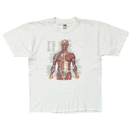 OLD&VINTAGE Y2K KURT COBAIN WEARING ANATOMICAL WHITE FRUIT OF THE LOOM LARGE 1197