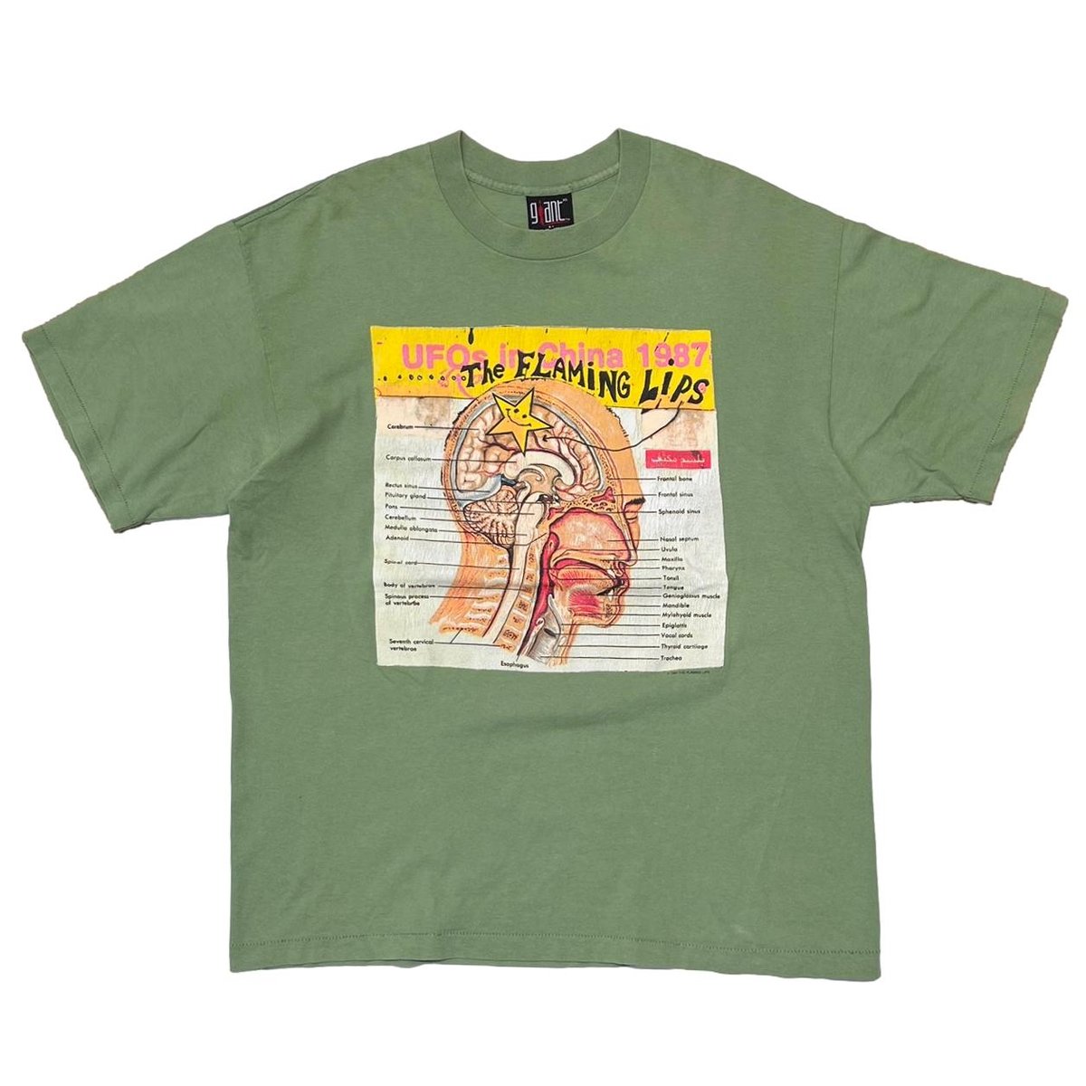 ◾️UKオリジナル盤/89年オルタナ名盤■THE FLAMING LIPS / ザ ◾️UKオリジナル盤/89年オルタナ名盤□THE FLAMING LIPS / ザ