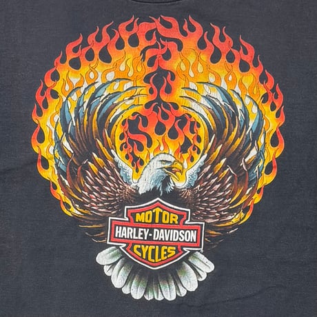 HARLEY DAVIDSON 90S FLAMING EAGLE XL 9352