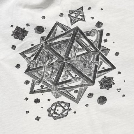 M.C.ESCHER OVP EURO FITS LARGE 9413