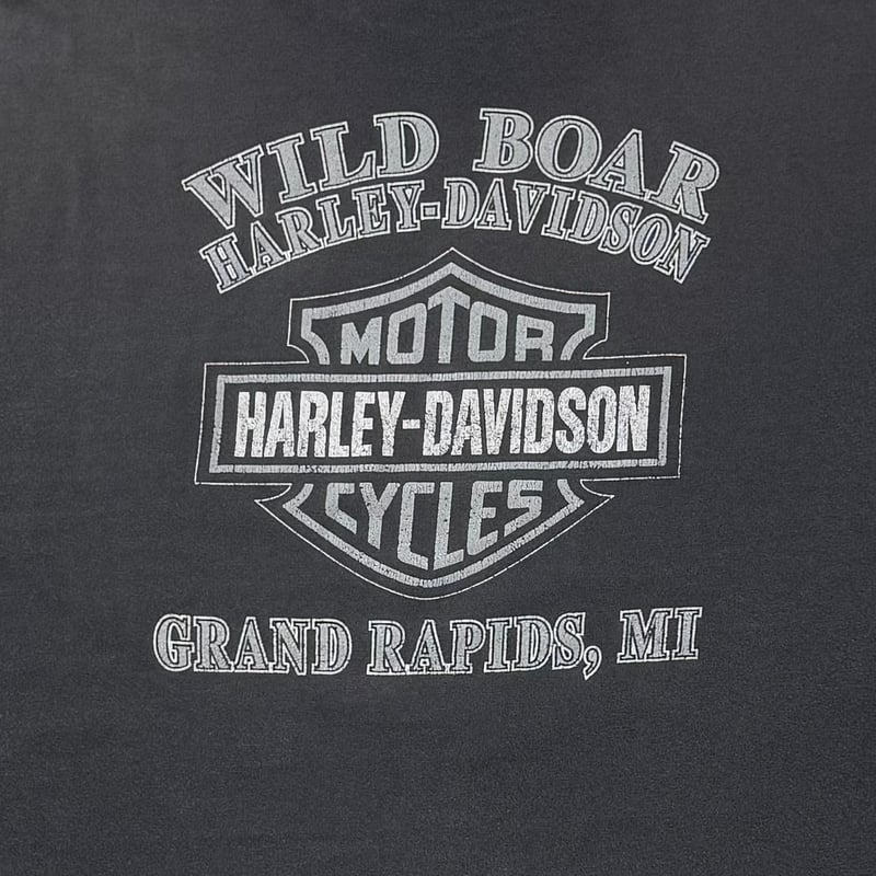 HARLEY DAVIDSON WILD BOAR GRAND RAPIDS FADED PO