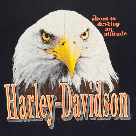 HARLEY DAVIDSON 1989 MANASSAS EAGLE HEAD LARGE 1393
