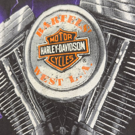 HARLEY DAVIDSON THUNDER&LIGHTNING OVP XXXL 5862