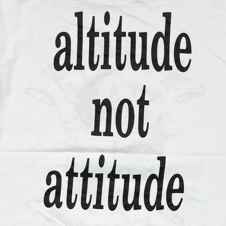 THE SMASHING PUMPKINS ATTITUDE NOT ATTITUDE GIANT BY TULTEX LARGE 4884
