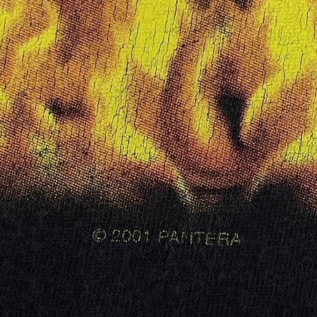 PANTERA 2001 REINVENTING LARGE 2086