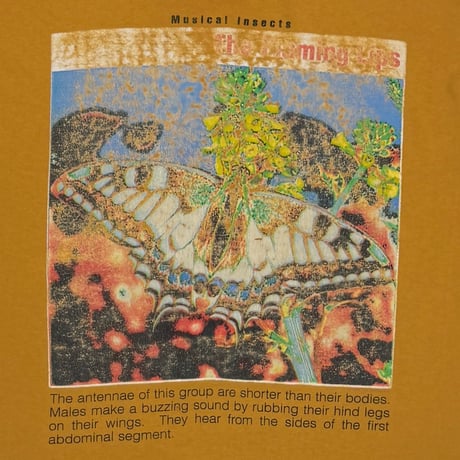 THE FLAMING LIPS MUSICAL INSECTS UNUSUAL INSECTS MASTERD ANVIL XL 3482