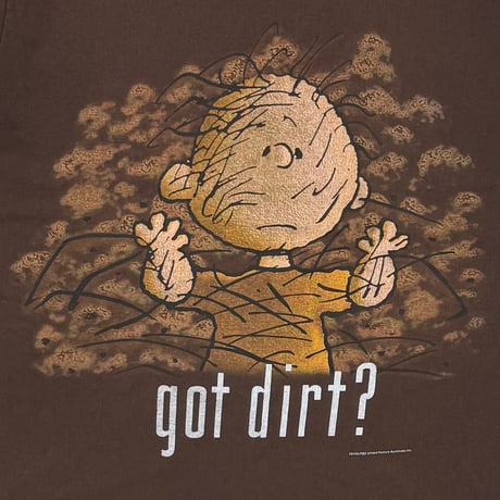 PEANUTS got dirt ? BROWN CHANGES LARGE 4571