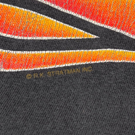 HARLEY DAVIDSON SIDE FLAME LOGO MAVERICK EAGLE XXL 5370