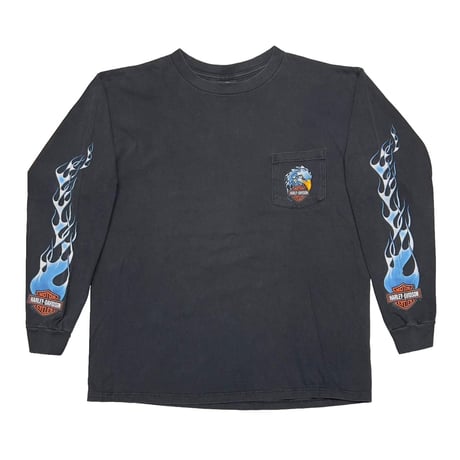 HARLEY DAVIDSON 2002 BLUE FLAME EAGLE WISCONSIN POCKET LS XL 3782