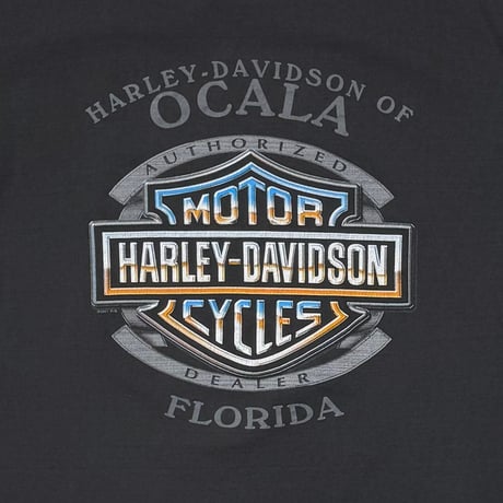 HARLEY DAVIDSON SPIDER LS OCALA FLORIDA XL 9124