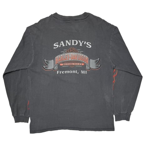 HARLEY DAVIDSON FRONT V FLAME SANDY'S LS FITS LARGE 8351