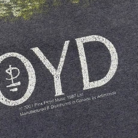 PINK FLOYD SUN DIAL ARTIMONDE FITS LARGE 6774
