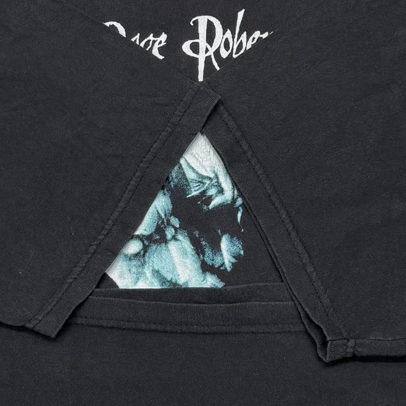 PAGE PLANT WALKING IN TO EVERYWHERE XL 4825 | g