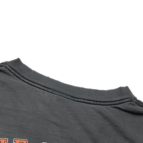 HARLEY DAVIDSON	EAGLE FLAMING CYCLECITY LTD HONOLULU HAWAII LS XL 8732