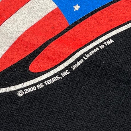 THE ROLLING STONES AMERICAN FLAG TONGUE TOUR 1981 DELTA XL 8110