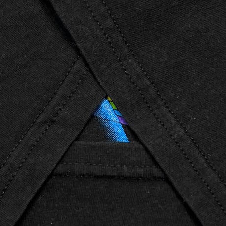 PINK FLOYD 2001 DARK SIDE OF THE MOON ARTIMONDE XL 7516