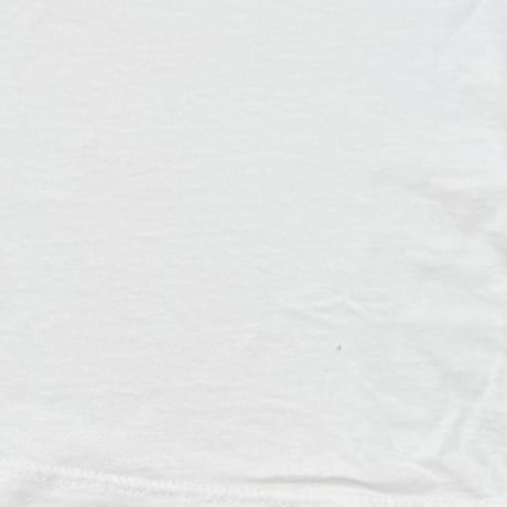 Easyriders 1996 IN THE WIND WHITE Hanes LARGE 0551